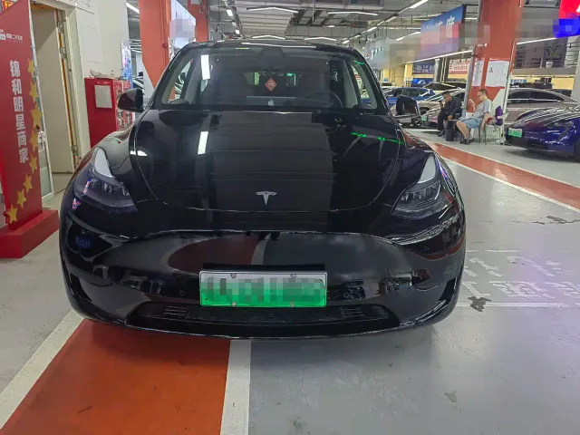 Tesla Model Y — Фото автомобиля 2