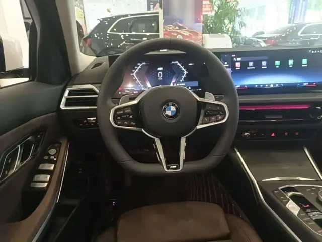 BMW 3 Series — Фото автомобиля 10