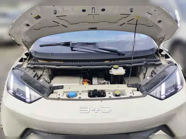 BYD Seagull — Фото автомобиля 3
