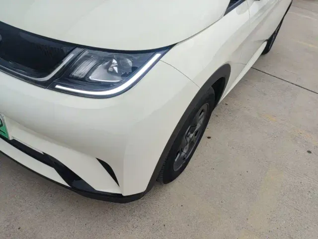 BYD Dolphin — Фото автомобиля 23