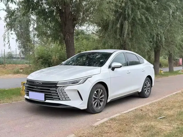 Фотография автомобиля — BYD Destroyer 05