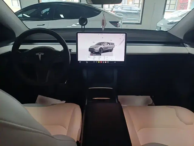 Tesla Model Y — Фото автомобиля 9