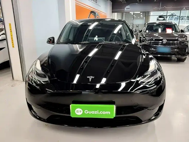 Tesla Model Y — Фото автомобиля 2