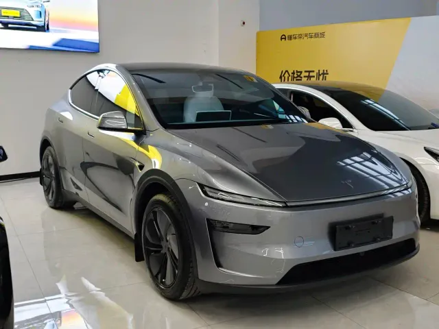 Tesla Model Y — Фото автомобиля 2