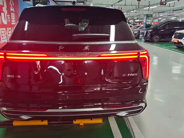 Hongqi E-HS9 — Фото автомобиля 12