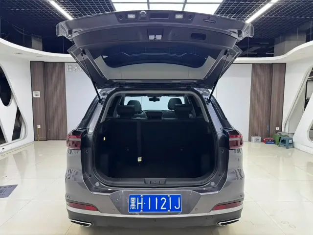 Chery Tiggo 7 PLUS — Фото автомобиля 9