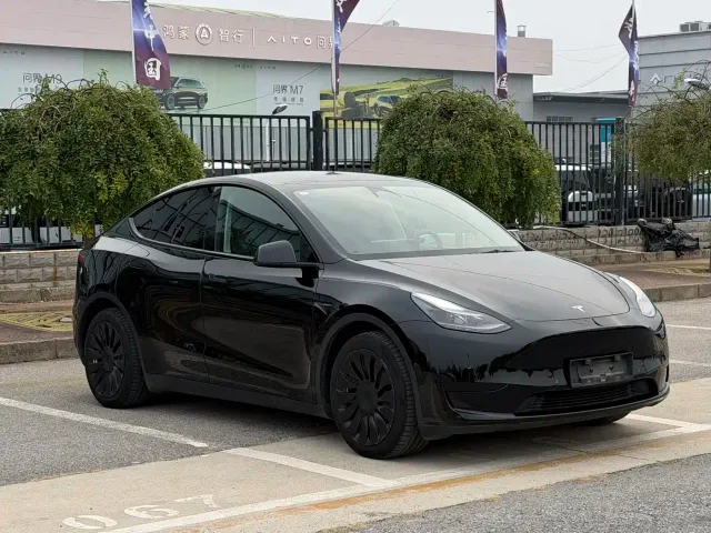 Tesla Model Y — Фото автомобиля 3