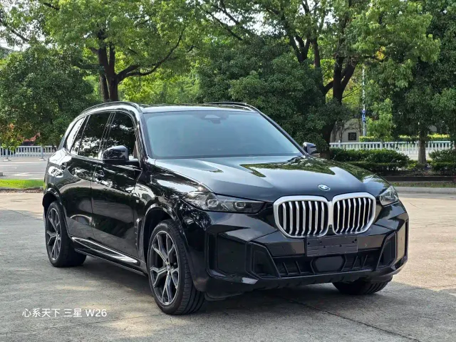 BMW X5 — Фото автомобиля 8