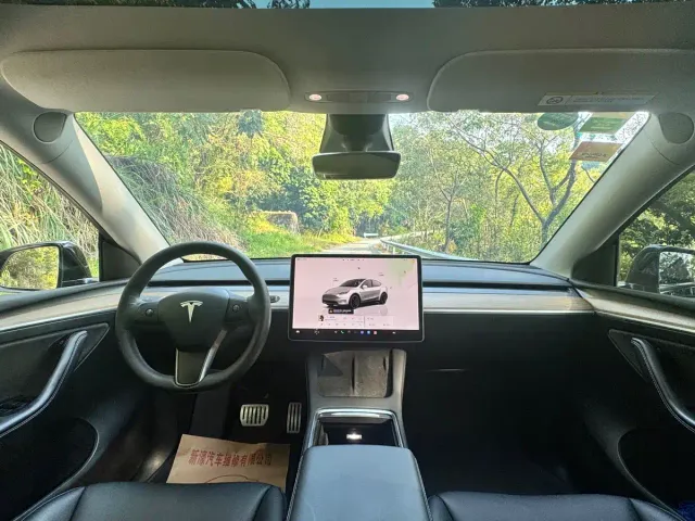 Tesla Model Y — Фото автомобиля 11
