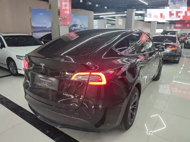 Tesla Model Y — Фото автомобиля 6