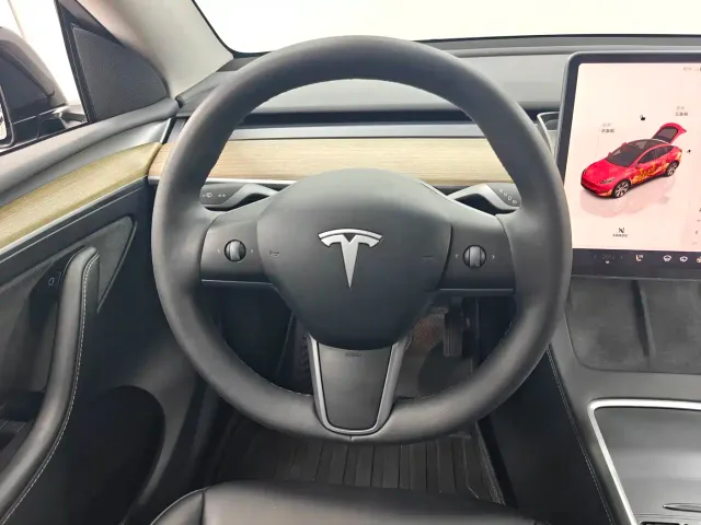 Tesla Model Y — Фото автомобиля 12