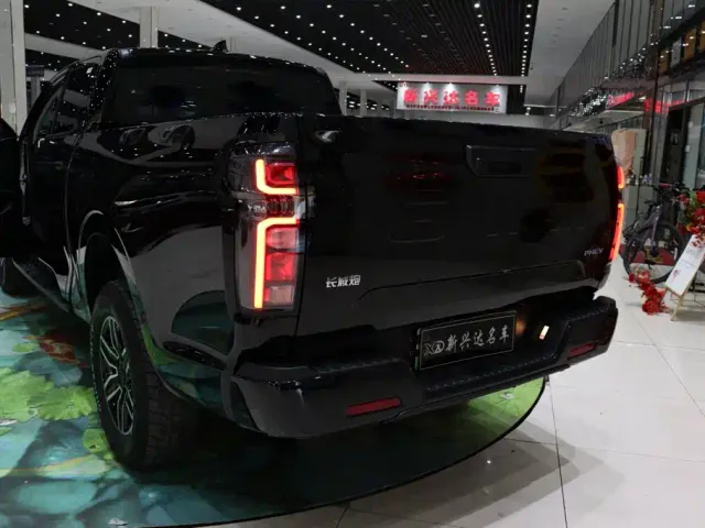 Great Wall Poer EV — Фото автомобиля 19