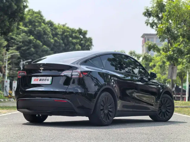 Tesla Model Y — Фото автомобиля 3