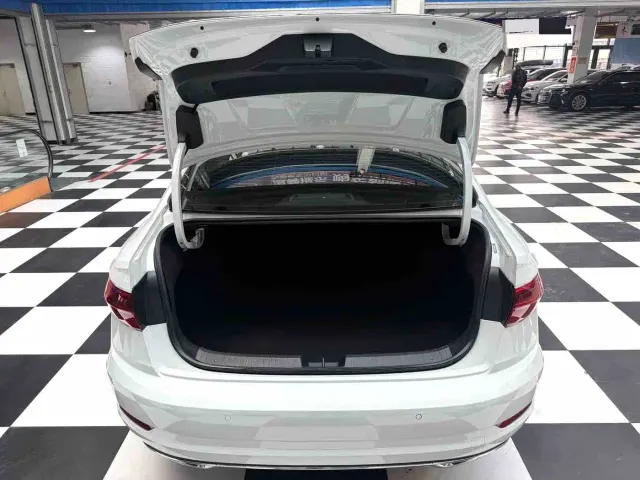 Volkswagen Sagitar — Фото автомобиля 14