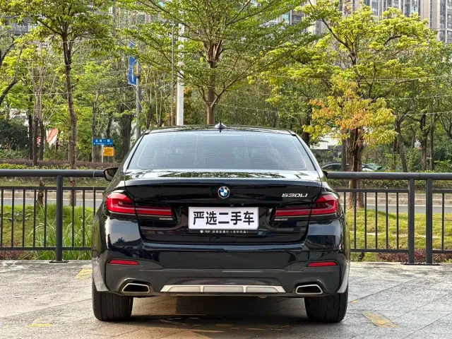 BMW 5 Series — Фото автомобиля 8