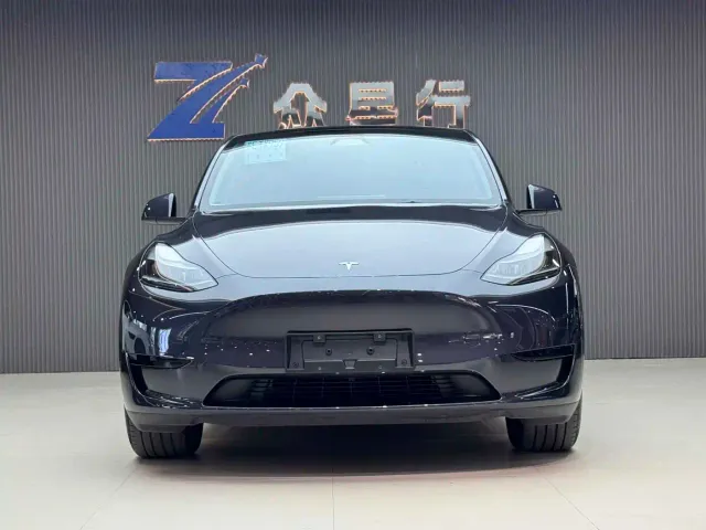 Tesla Model Y — Фото автомобиля 2
