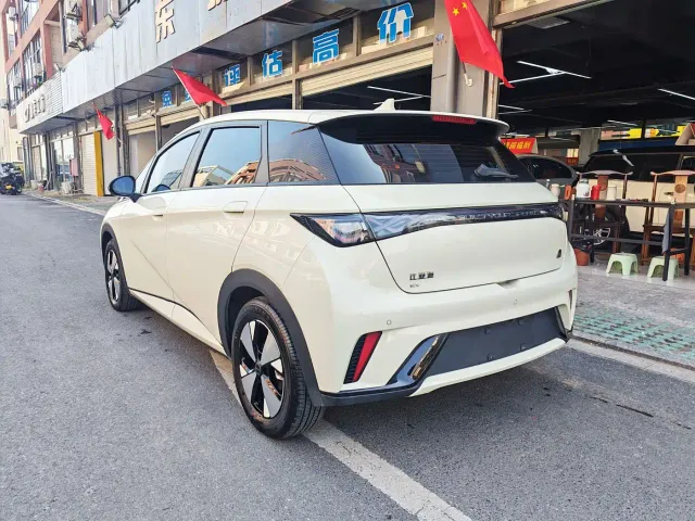 BYD Dolphin — Фото автомобиля 6