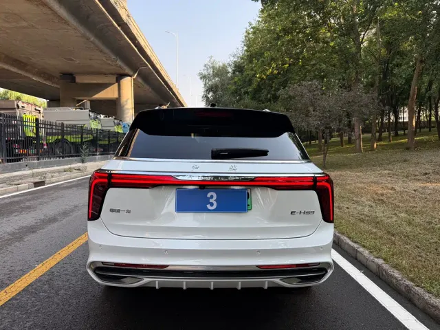 Hongqi E-HS9 — Фото автомобиля 10