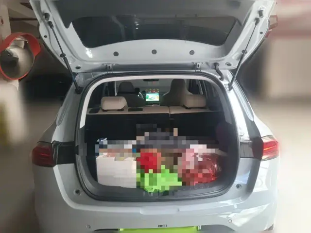Wuling Binguo PLUS — Фото автомобиля 9