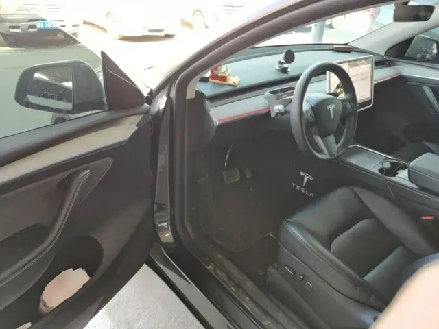 Tesla Model Y — Фото автомобиля 15