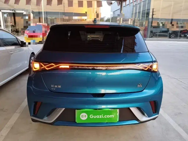 BYD Dolphin 2021 Model 405km Fashion Edition — Фото автомобиля 5