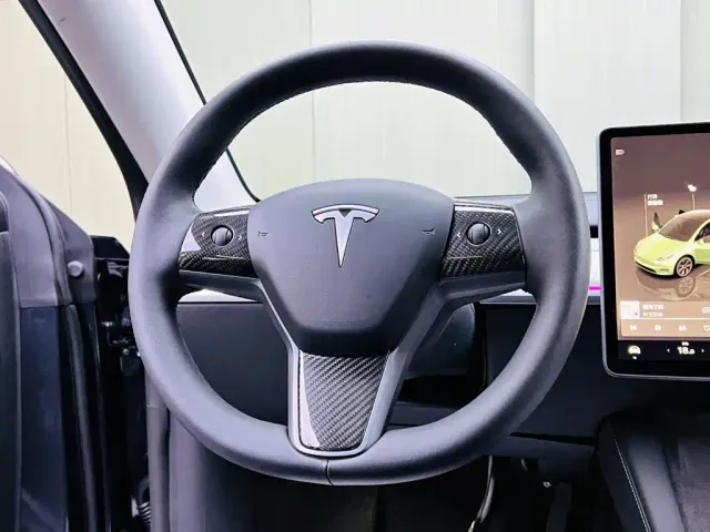 Tesla Model Y — Фото автомобиля 10