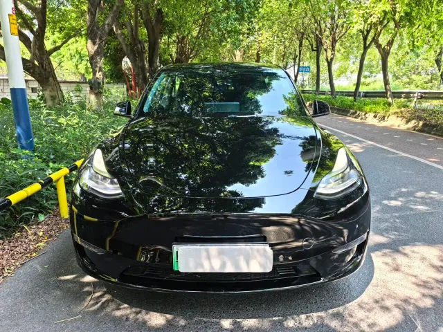 Tesla Model Y — Фото автомобиля 2