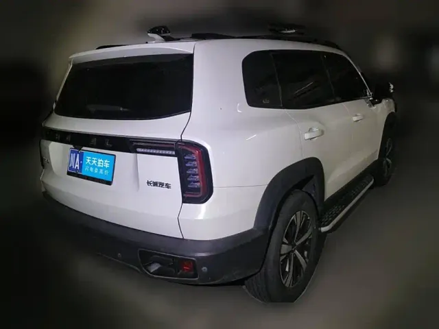 Haval Haval Big Dog 2021 1.5T DCT 2WD Labrador Edition — Фото автомобиля 2