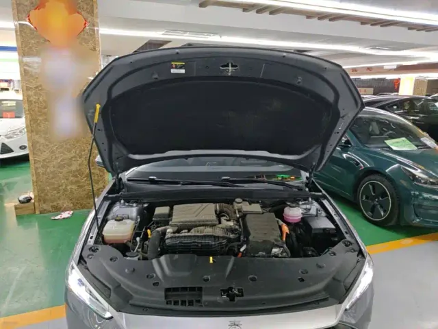 BYD Qin PLUS — Фото автомобиля 19