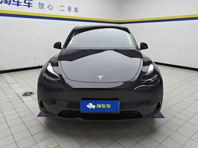 Tesla Model Y — Фото автомобиля 2