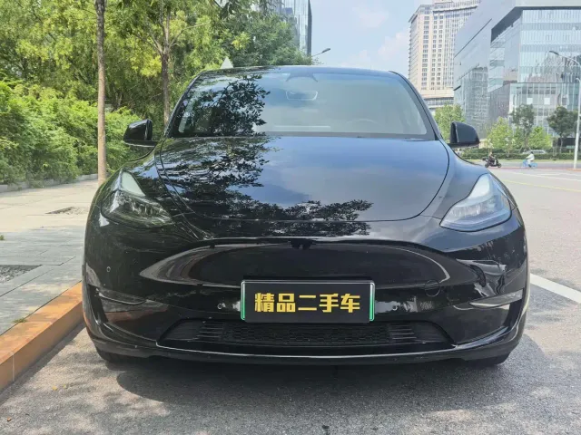 Tesla Model Y — Фото автомобиля 3