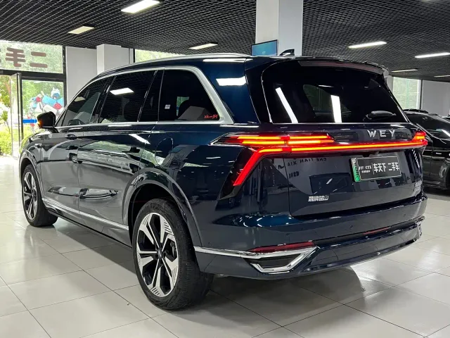 Wey Lanshan — Фото автомобиля 4