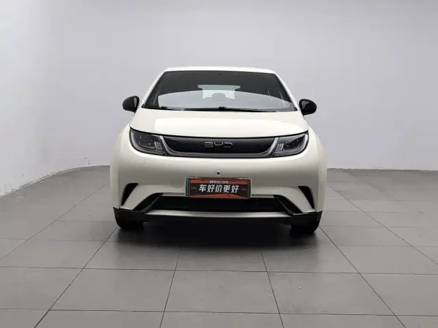 BYD Dolphin — Фото автомобиля 3
