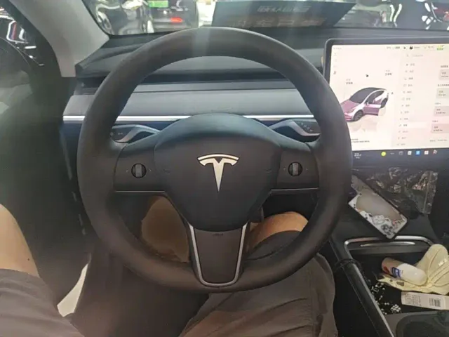 Tesla Model Y — Фото автомобиля 10