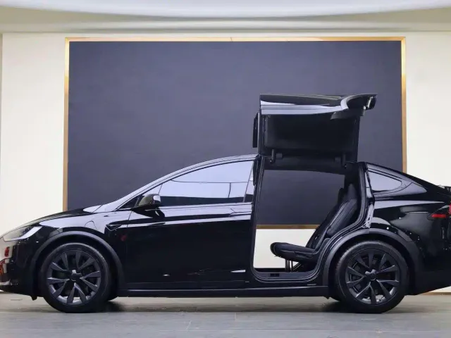 Tesla Model X — Фото автомобиля 20