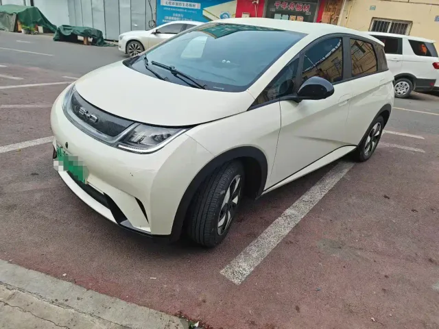 Фотография автомобиля — BYD Dolphin