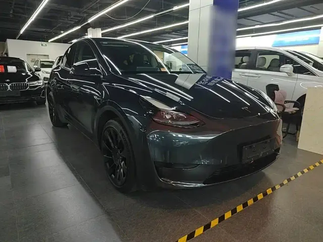 Tesla Model Y — Фото автомобиля 3