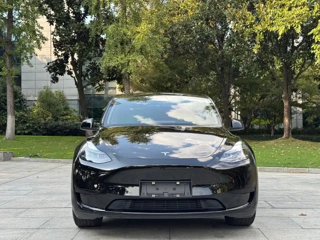 Tesla Model Y — Фото автомобиля 3