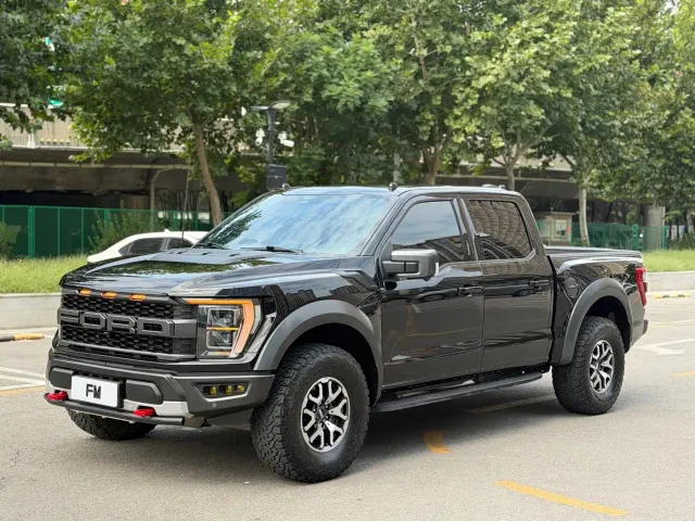 Ford F-150 Raptor — Фото автомобиля 5