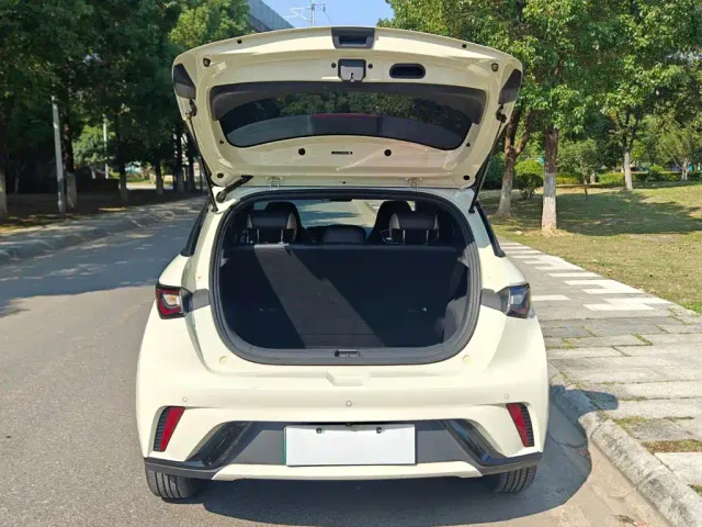 BYD Dolphin — Фото автомобиля 15
