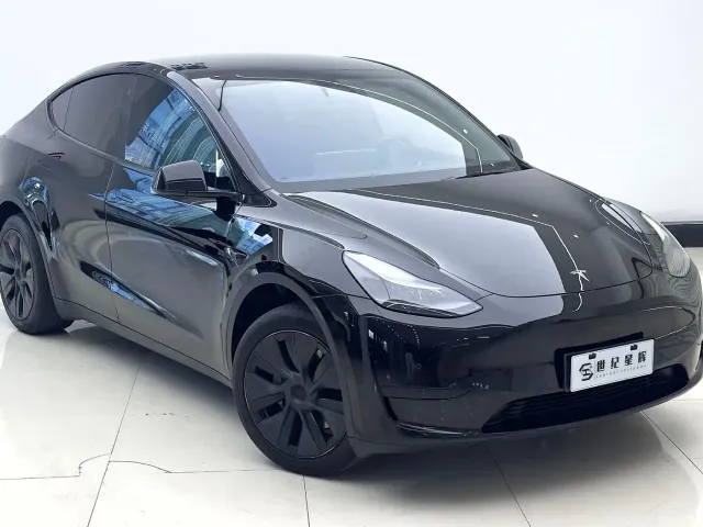 Tesla Model Y — Фото автомобиля 5