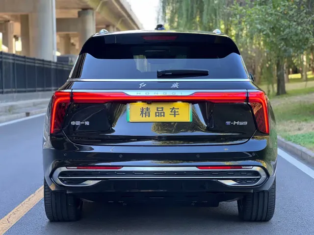 Hongqi E-HS9 — Фото автомобиля 6