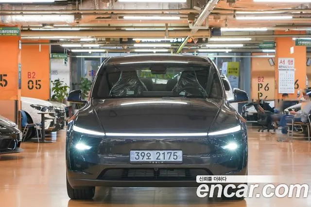 Tesla Model Y — Фото автомобиля 3
