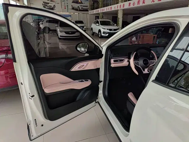BYD Seagull — Фото автомобиля 15