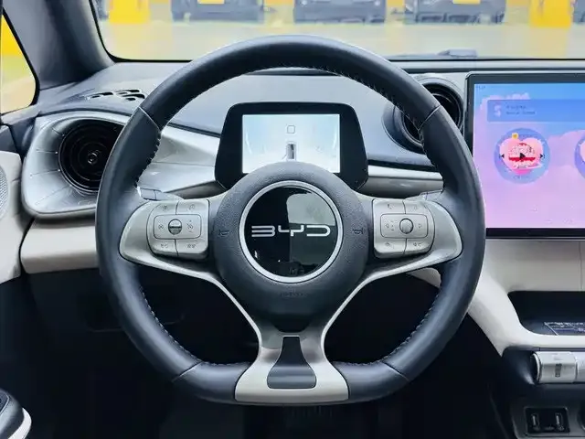 BYD Dolphin — Фото автомобиля 19