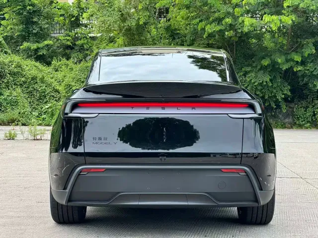 Tesla Model Y — Фото автомобиля 4