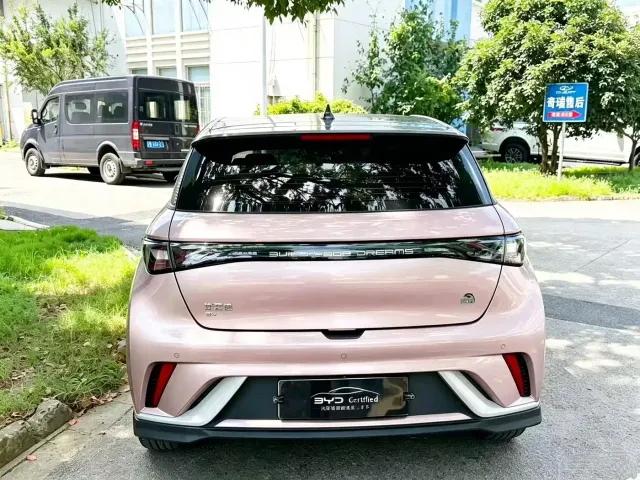 BYD Dolphin — Фото автомобиля 6