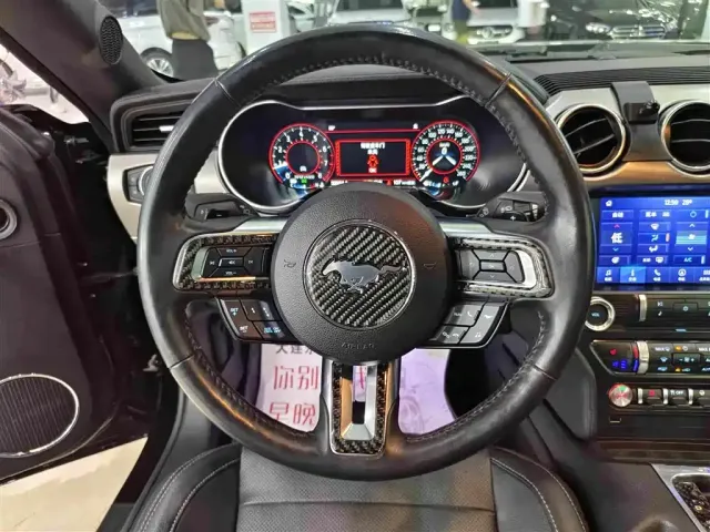 Ford Mustang — Фото автомобиля 7