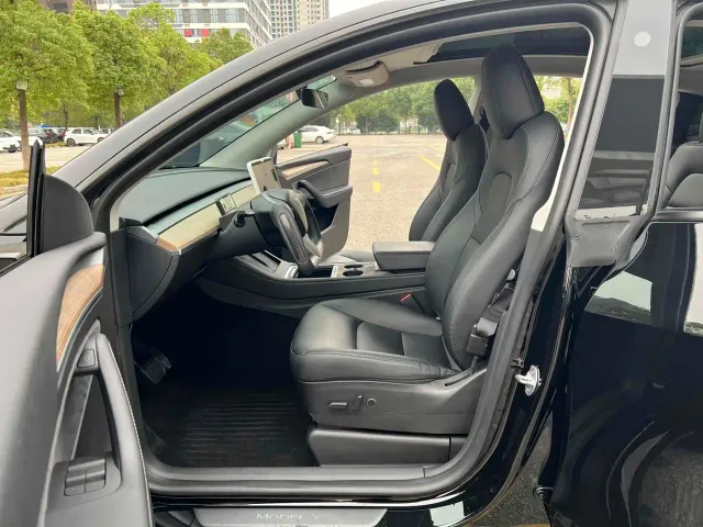 Tesla Model Y — Фото автомобиля 10