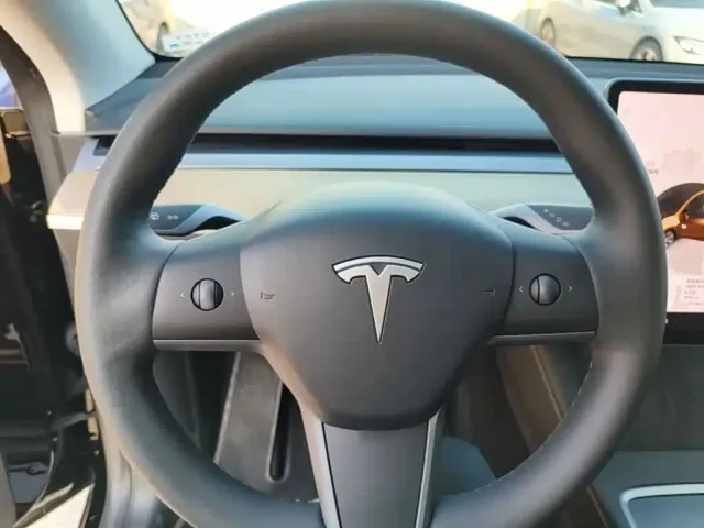 Tesla Model Y — Фото автомобиля 10